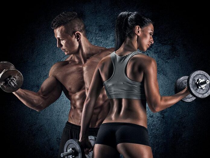 5 Melhores Aparelhos de Musculação para Montar sua Academia em 2025