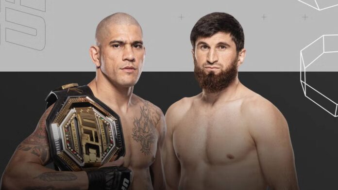 UFC 313: assista online ao vivo Alex Poatan x Magomed Ankalaev